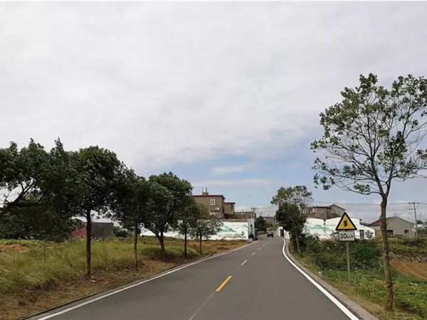 江北杭州市政道路施工时间段深度剖析：平衡建设与城市生活